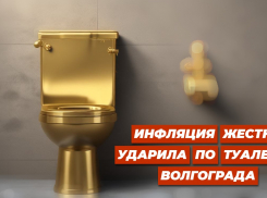 Рекордную сумму осваивают на «золотых» туалетах чиновники в Волгограде
