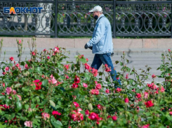 89 зараженных и 8 смертей: коронавирус набирает обороты во время ослабления ограничений