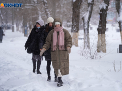 Метели продолжатся в Волгоградской области 16 января 