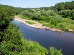 Администрация незаконно сдала в аренду земли природного парка «Волго-Ахтубинская пойма»