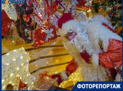 Неистовый дед устроил пляски с конем в центре Волгограда