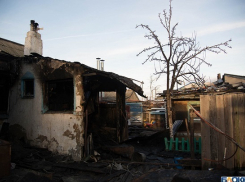 Ветка насмерть прибила жителя Волгоградской области, запасавшего дрова