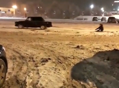 Поездка на запряженных машиной санях попала на видео