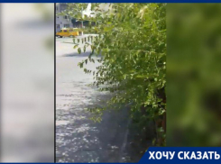 Пешеходный переход в Волжском скрывают от водителей ветки деревьев