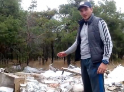 Свалку с опасными шприцами и капельницами обнаружили в лесу на севере Волгограда 