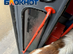 «Дети кричали от боли»: ужасное творится в трамвайной давке в Волгограде