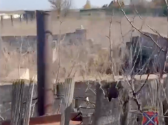 Волгоградец прописал иностранцев в несуществующем доме 