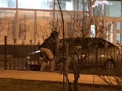 Волгоградка справила нужду прямо посреди парка