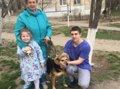 Впервые вместо усыпления в Волгограде чипировали бездомную собаку