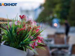 Жара до +39º испытает жителей Волгоградской области на прочность