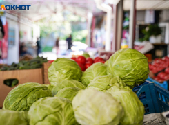 В Волгоградской области изъяли более 30 килограммов гнилых овощей