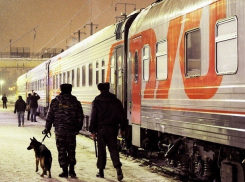 Питерского путешественника с гашишем сняли с поезда в Волгограде