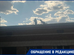 «Дети бегают по крыше»: расселенная заброшка стала экстремальным кошмаром волгоградцев