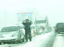 В Подмосковье ограбили дальнобойщика из Волгограда на 16 миллионов