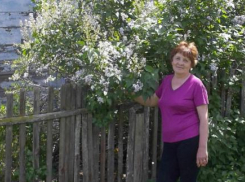 Зараженную кошку убил сосед: инфекционист рассказала о погибшей от бешенства волгоградке