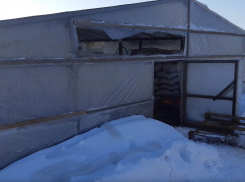 Появилось видео и фото с места гибели шести иностранцев в теплице под Волгоградом