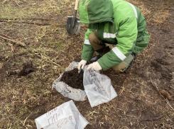 Излив нефти нашли в Волгоградской области