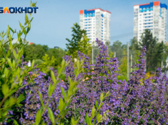 Волгоград погреется под жарким воскресным солнцем