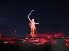 Волгоградский депутат заявил о нехватке туалетов на Мамаевом кургане