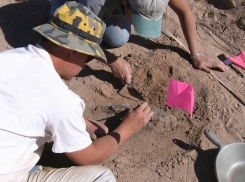 В центре Волгограда нашли остатки склепа древнего Алексеевского храма