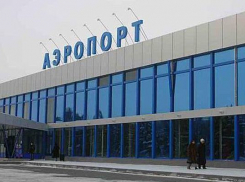 В международном аэропорту Волгограда у иностранцев изъяли лимоны, груши и яблоки