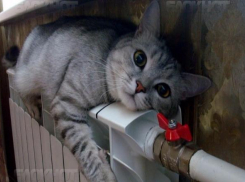 Волгоградский Роспотребнадзор взял на контроль подготовку к отопительному сезону