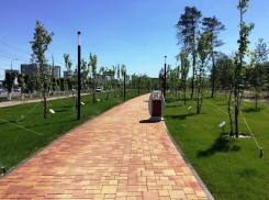 Неизвестный крушил новый парк у подножия Мамаева кургана в Волгограде