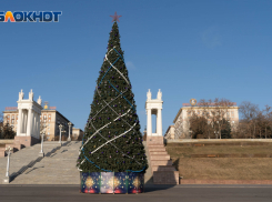 Волгоградцы больше всех в России недовольны новогодней ёлкой