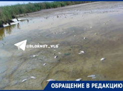«Нечем поить скотину, стоят огороды»: волгоградское село погибает без питьевой воды