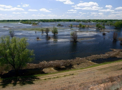 Для сохранения Волга-Ахтубинской поймы в Волгограде выделят 80 млн
