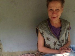 В Волжском бездомные воруют корм уличных кошек