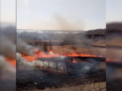 На видео попал полыхающий вдоль домов камыш в Волгограде