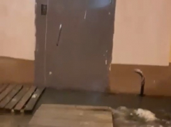 Последствия вредительского капремонта сняли на видео взбешенные волгоградцы