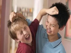 Первоклассник проломил голову 8-летнему борцу в гимназии Волгограда