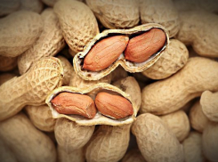 Годовалый малыш насмерть подавился орешком в Волгоградской области