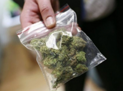 В Волжском задержали опасного рецидивиста с крупной партией марихуаны