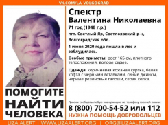 В Волгоградской области ищут 71-летнюю женщину, заблудившуюся в лесу