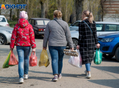 Транспортные проблемы волгоградских дачников заинтересовали Бастрыкина