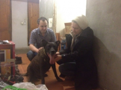 Волгоградец пытается лишить мать и брата-олигофрена жилья и собаки