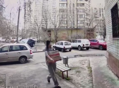 Коробку с двумя щенками подбросили к подъезду в центре Волгограда