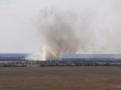 В Волгоградской области из-за пожаров сокращены смены в летних лагерях