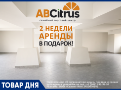 2 недели аренды — в подарок!