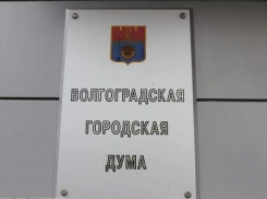 Политические партии Волгограда определились, кого брать в новую думу