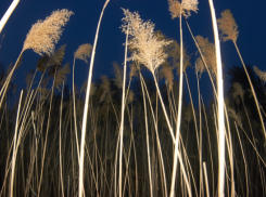 На смену буре в Волгоградскую область пришла новая стихия