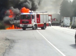 Volkswagen и Mazda 3 сгорели дотла на юге Волгограда