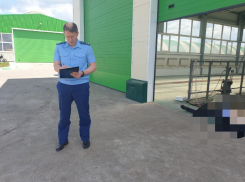 Фермер застрелил волгоградского бизнесмена Хохлова и умер сам: видео с места расправы