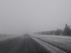 Первый снег обрушился на Волгоградскую область