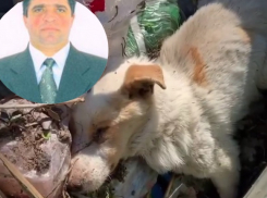 Умирающую собаку выбросили на мусорку: под Волгоградом чиновника-единоросса обвинили в жестоком обращении с животными