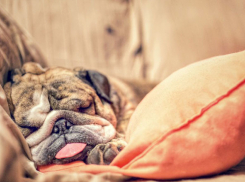 В последний день без дождя на этой неделе Волгоград ждет теплая ночь