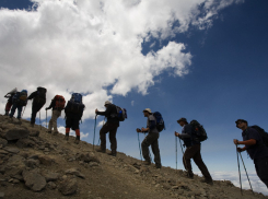Группе волгоградских депутатов не дали поехать за бюджетные деньги на Килиманджаро